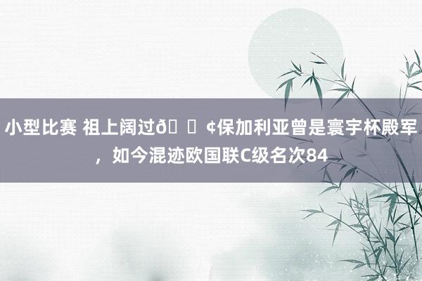 小型比赛 祖上阔过😢保加利亚曾是寰宇杯殿军，如今混迹欧国联C级名次84