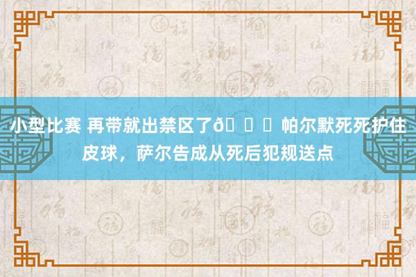 小型比赛 再带就出禁区了😂帕尔默死死护住皮球，萨尔告成从死后犯规送点