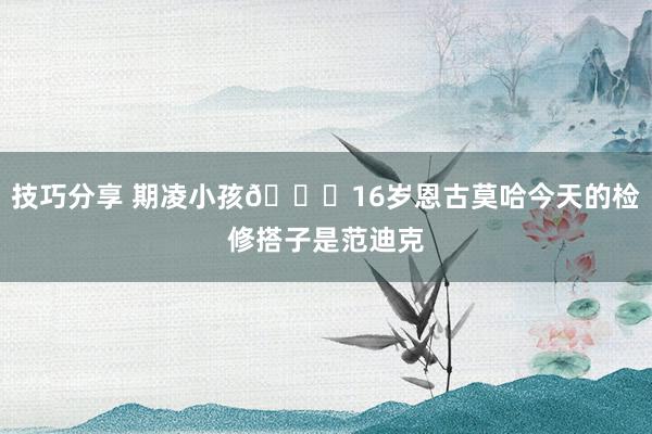 技巧分享 期凌小孩😂16岁恩古莫哈今天的检修搭子是范迪克