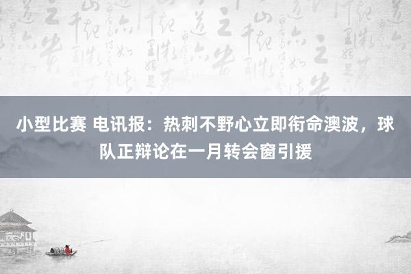 小型比赛 电讯报：热刺不野心立即衔命澳波，球队正辩论在一月转会窗引援