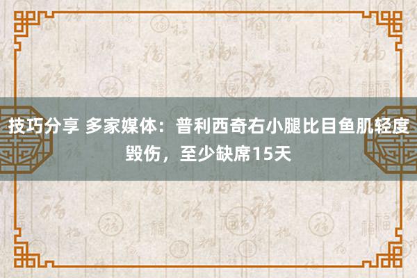 技巧分享 多家媒体：普利西奇右小腿比目鱼肌轻度毁伤，至少缺席15天