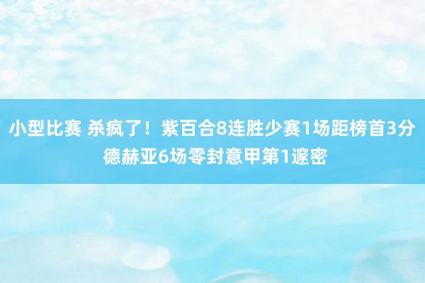 小型比赛 杀疯了！紫百合8连胜少赛1场距榜首3分 德赫亚6场零封意甲第1邃密