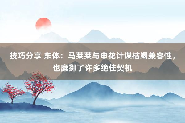 技巧分享 东体：马莱莱与申花计谋枯竭兼容性，也糜掷了许多绝佳契机