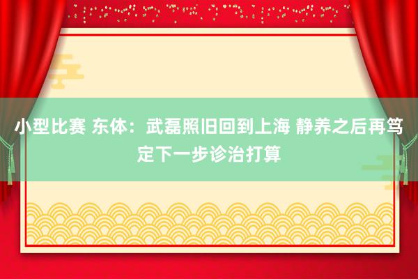 小型比赛 东体：武磊照旧回到上海 静养之后再笃定下一步诊治打算