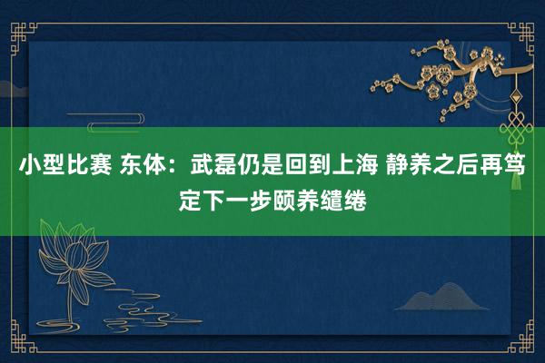 小型比赛 东体：武磊仍是回到上海 静养之后再笃定下一步颐养缱绻