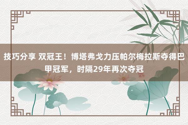 技巧分享 双冠王！博塔弗戈力压帕尔梅拉斯夺得巴甲冠军，时隔29年再次夺冠