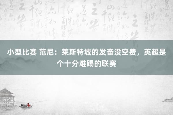 小型比赛 范尼：莱斯特城的发奋没空费，英超是个十分难踢的联赛