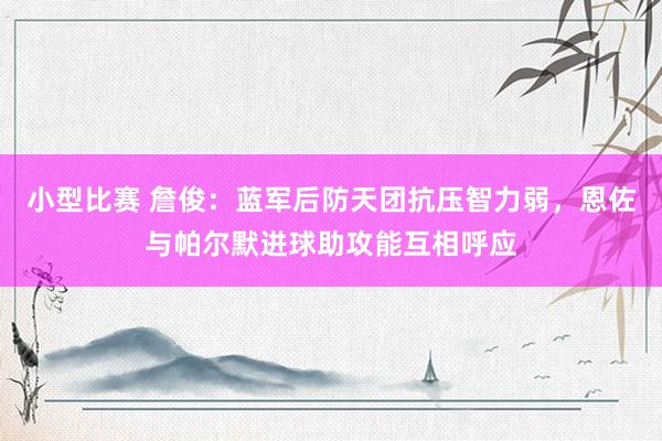 小型比赛 詹俊：蓝军后防天团抗压智力弱，恩佐与帕尔默进球助攻能互相呼应