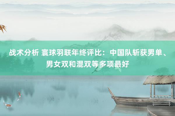 战术分析 寰球羽联年终评比：中国队斩获男单、男女双和混双等多项最好